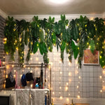 LED Curtain Fairy Lights