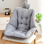 Lumbar & Cervical Cushion