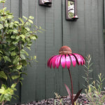 Squirrel Proof Coneflower Bird Feeder
