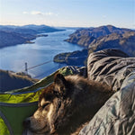 Flat Sleep Hammmock Tent With Bug Net And Suspension Kit